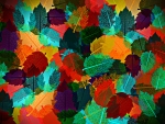 Colorful Autumn Leaves