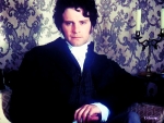 Mr. Darcy