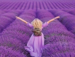 In lavender fields