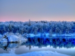 Sunset on the blue winter lake near the forest