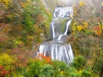 Vivid Autumn Waterfall Cascade