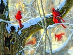 Cardinals