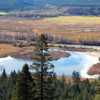 Colors of Fall, Columbia River Valley, BC