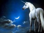 Unicorn Gazing At The-Moon