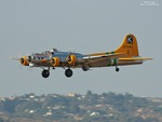 B-17