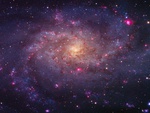 M33