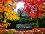 Autumn Park