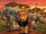 Africa animals
