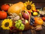 Autumn Harvest