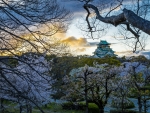 Osaka Castle