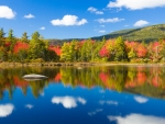 Lakeside Autumn Trees in White Mountains of New Hampshire