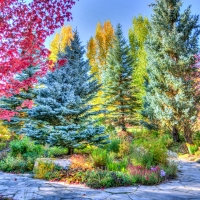 Colorado Park in HDR