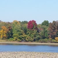 The Rancocas Creek in the Fall.