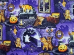 Halloween Cat House