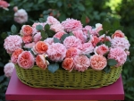 Basket of Flowers