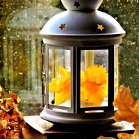 Lantern