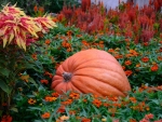 great pumpkin