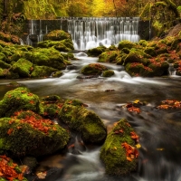 Autumn waterfall