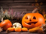 Autumn~Halloween~Still Life