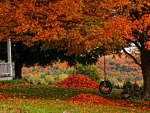 Autumn Swing