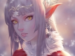 Winter elf