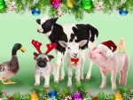 christmas animals