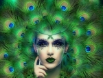 ~Lady Peacock~