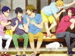 Free! Iwatobi Swim Club
