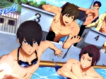 Free!