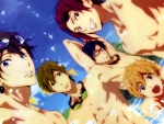 Free! Iwatobi Swim Club