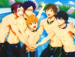 Free!