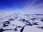 sea ice
