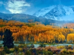 Autumn in Colorado