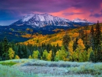 Colorado of Fall