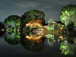 Autumn Reflection at Night
