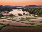 Kyushu Rice Terrace
