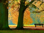 Autumn seating