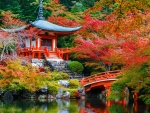 Japanese autumn