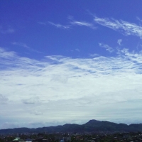 View from the rooftop