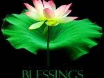 Blessings