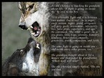 cherokee indian wolves parable