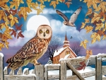 Owl in the Churchyard