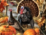 Turkey Gobblers F1
