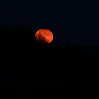 Moonrise
