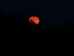 Moonrise