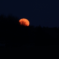 Supermoonrise