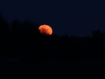 Supermoonrise