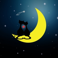 Wish upon a ...comet