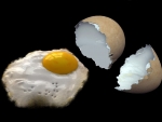 Ready-fried Egg