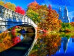 Autumn in Central Park